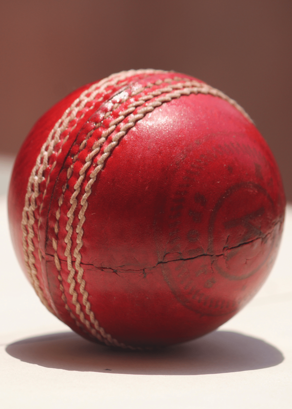 Top 3 Best Cricket Balls