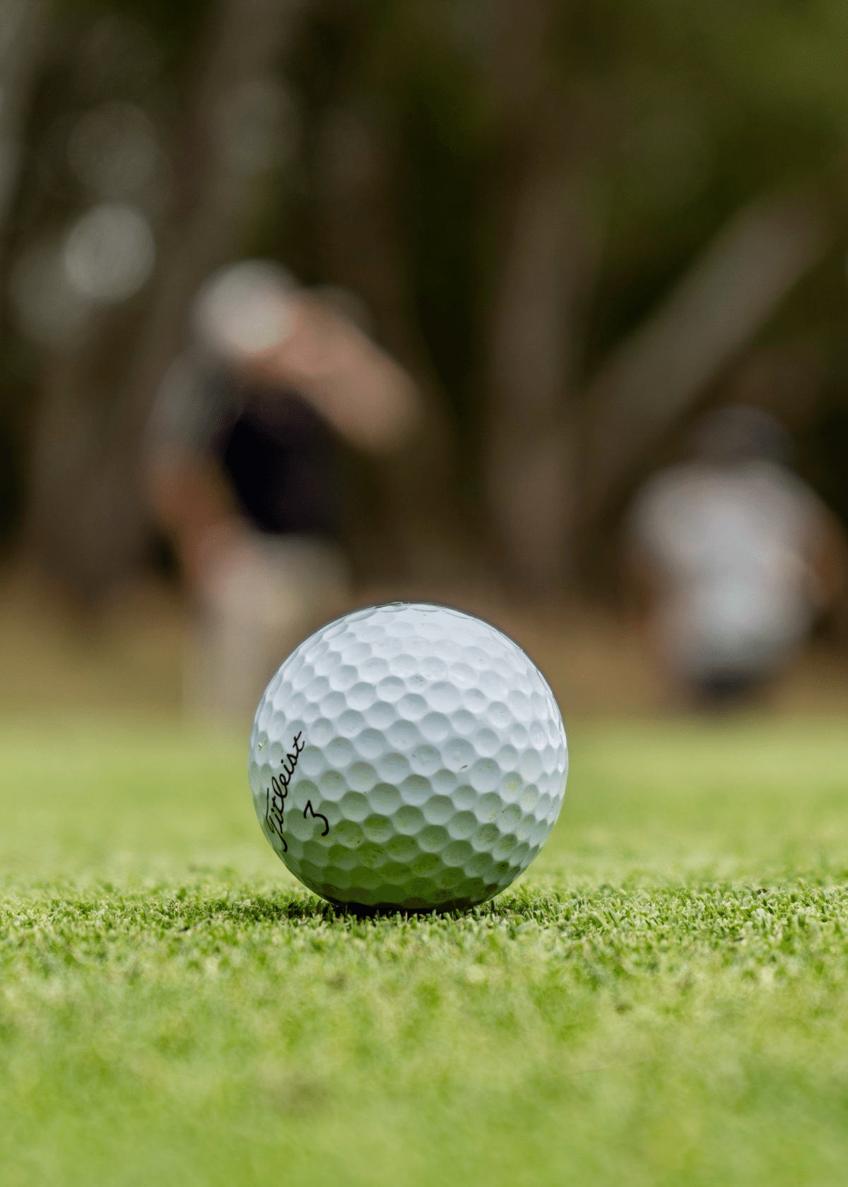 Best Golf Ball for High Handicap to help your Score