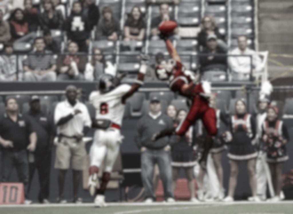 What is PPR in Fantasy Football? We Hope You Make this Catch