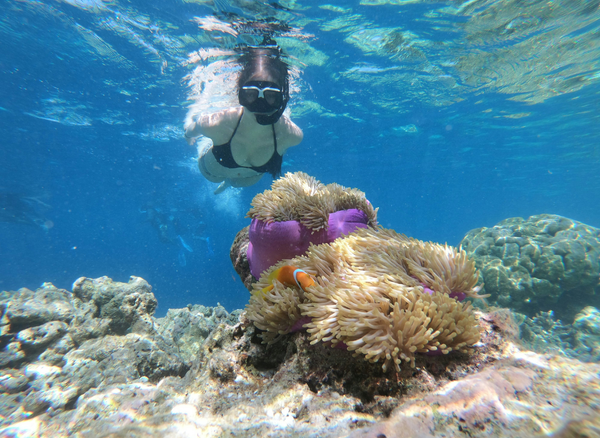 How Do You Snorkel to Have a Fun Day Underwater?