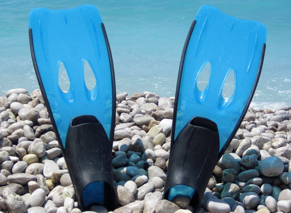 What are the Different Types of Swim Fins Out There?